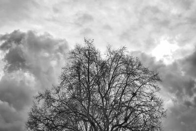 Low angle view of bare tree against cloudy sky