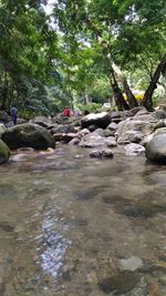 River flowing through rocks in forest