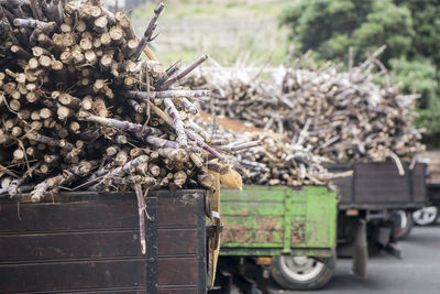 Stack of logs on road