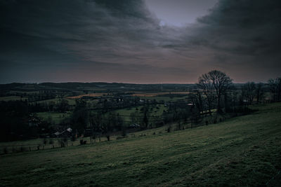 Trees on field against sky