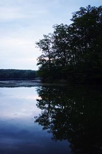 Reflection of trees in calm lake