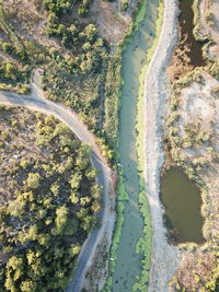 High angle view of trees on land