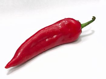 Close-up of red chili pepper against white background