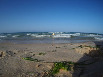 Scenic view of beach against clear blue sky