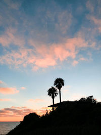 Silhouette palm trees against sky during sunset