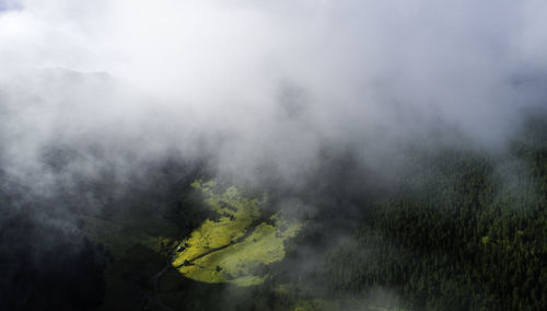 Aerial view of trees against sky