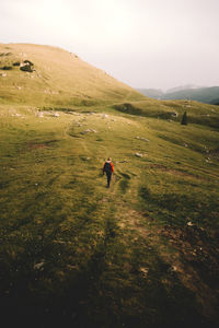 Rear view of man walking on field against sky