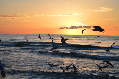 Silhouette people on beach against sky during sunset