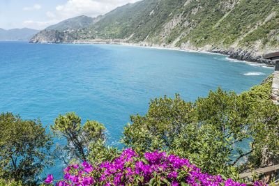 The beautiful sea in manarola, in cinque terre with flowers