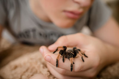 Close-up of woman holding spider