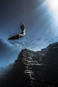 Low angle view of silhouette person in sea against sky