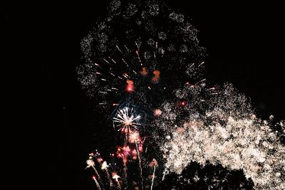 Low angle view of firework display at night