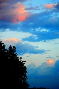 Low angle view of silhouette trees against sky during sunset