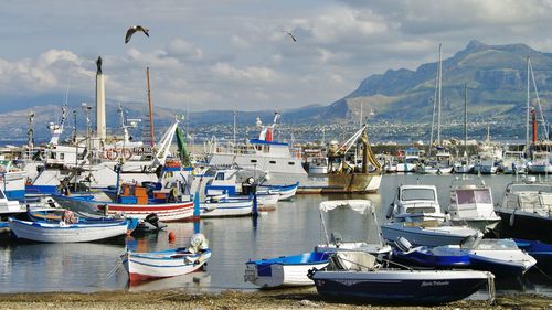 Boats moored at harbor