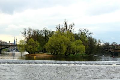 View of trees by river against cloudy sky