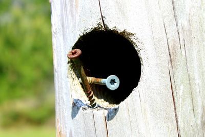 Close-up of birdhouse on tree trunk