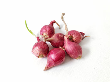 Close-up of fruits against white background