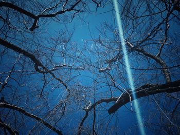 Low angle view of bare tree against blue sky