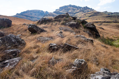 Scenic view of landscape and mountains against sky