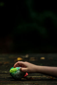 Cropped hand of child holding food in darkroom