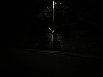 Silhouette man on road at night