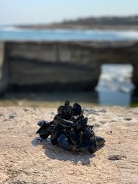 Close-up of stack on rock at beach against sky