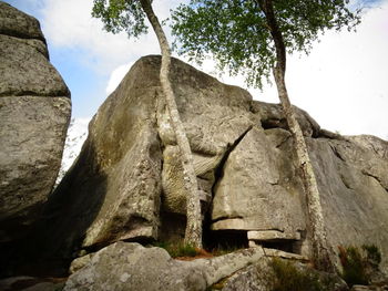 Low angle view of statue