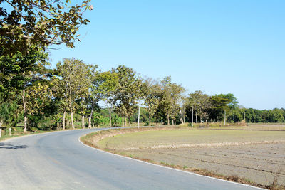 Empty road along trees and plants against sky