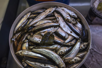 High angle view of fish for sale