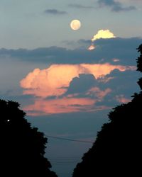 Low angle view of silhouette trees against sky at sunset