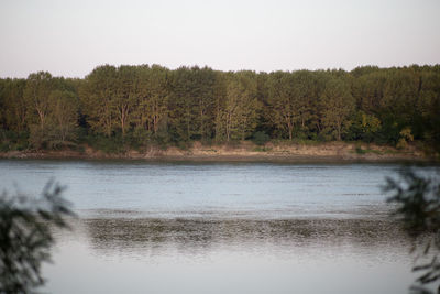 Scenic view of lake in forest against clear sky