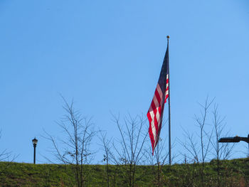 Flags on field against clear blue sky