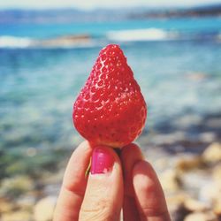 Close-up of woman holding strawberry in sea