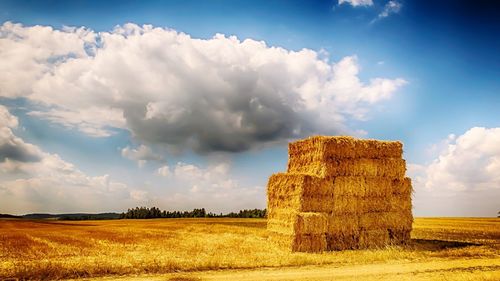 Scenic view of field against sky