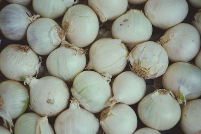 Full frame shot of onions for sale