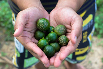 Close-up of hand holding fruit