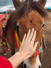 Touching the horse at yunnan provice in china