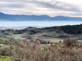 Scenic view of landscape against sky