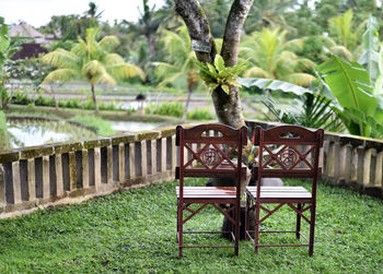 Chairs and trees in park