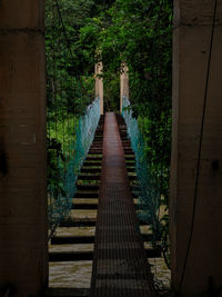 Empty footpath amidst trees