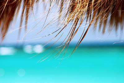 Close-up of thatched roof parasol at beach against sky