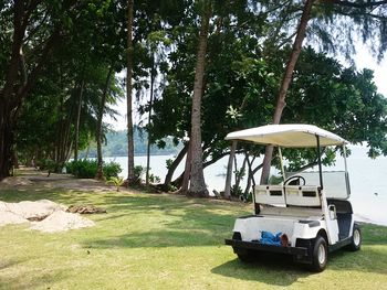 Golf cart parked by trees on field