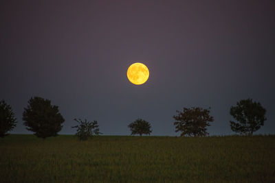 Scenic view of field against sky at night