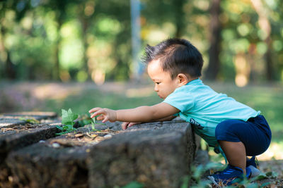 Side view of baby boy touching plants in park