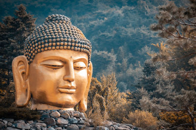 Close-up of buddha statue against trees