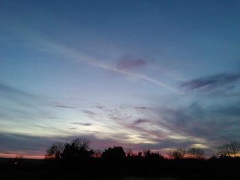 Silhouette of trees at sunset