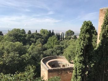 Trees and plants growing by arch bridge against sky