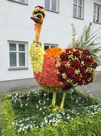 Close-up of plants against the wall