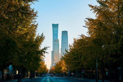 Trees in city against clear sky during autumn