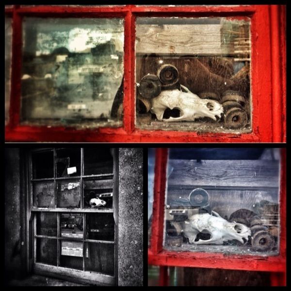 animal themes, domestic animals, one animal, indoors, mammal, door, old, pets, metal, no people, animal representation, auto post production filter, window, wood - material, glass - material, close-up, day, wildlife, old-fashioned